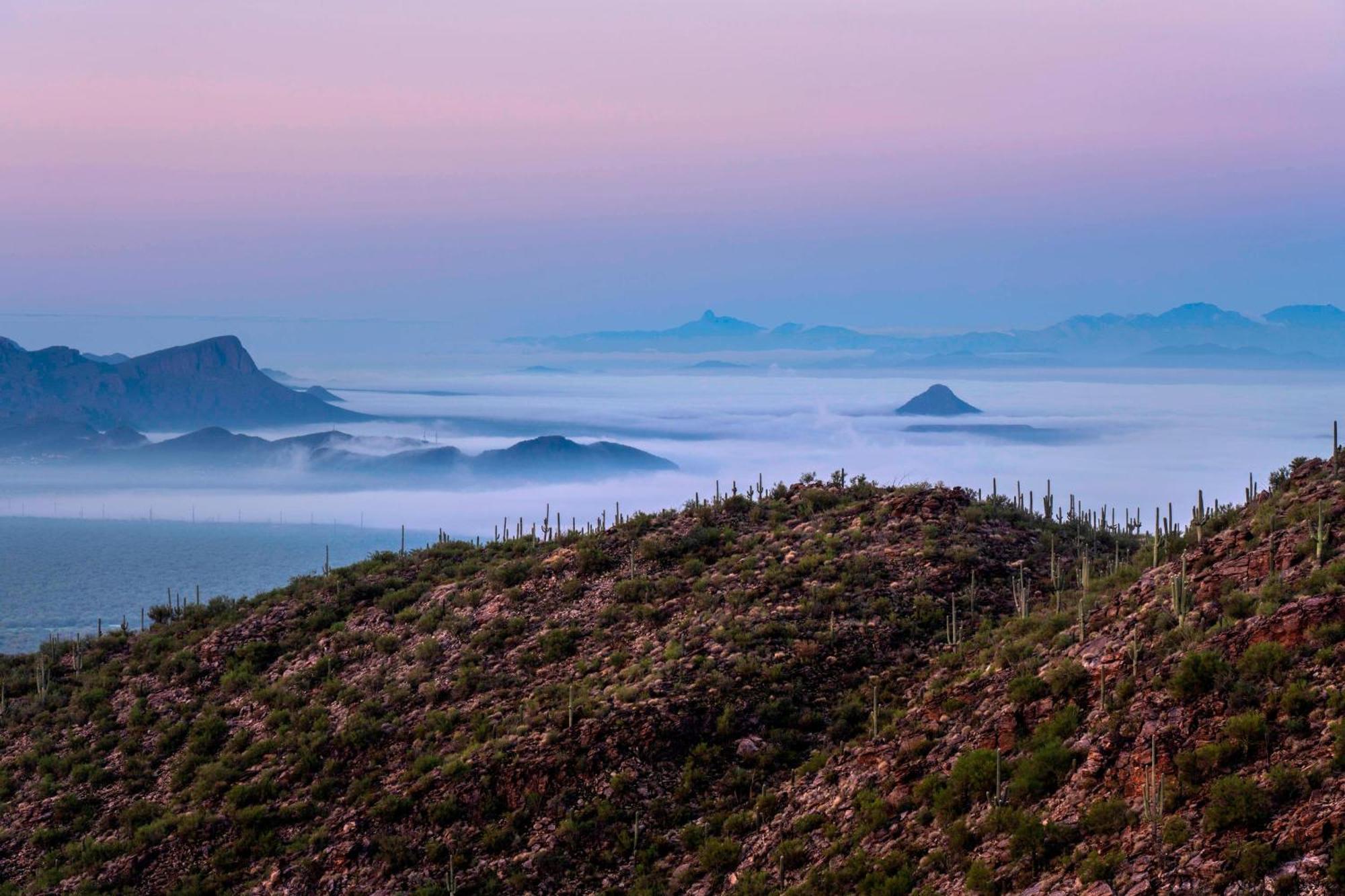 The Ritz-Carlton, Dove Mountain Hotel Марана Екстериор снимка